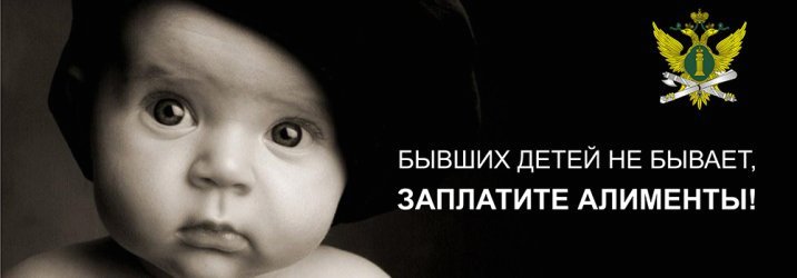 Применение мер принудительного исполнения и взыскание задолженности по алиментам в исполнительном производстве за 2 недели